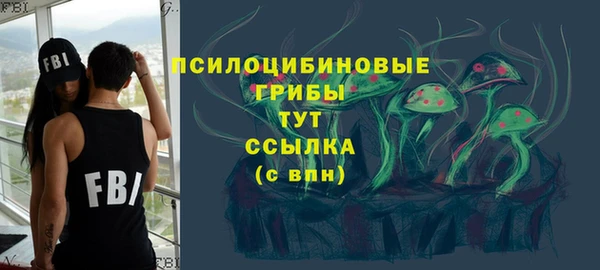 шишки Краснотурьинск