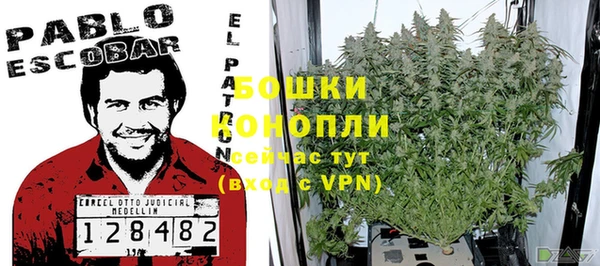 шишки Краснотурьинск